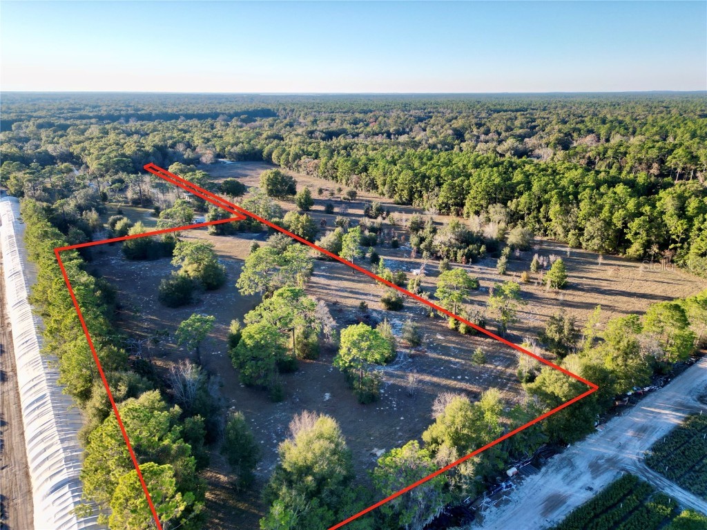 TBD SW 110th Avenue Dunnellon FL 34432 OM692236 image1