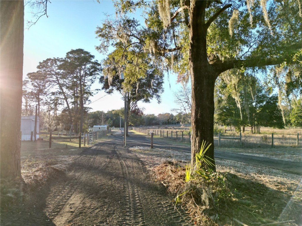 TBD SW 110th Avenue Dunnellon FL 34432 OM692236 image10