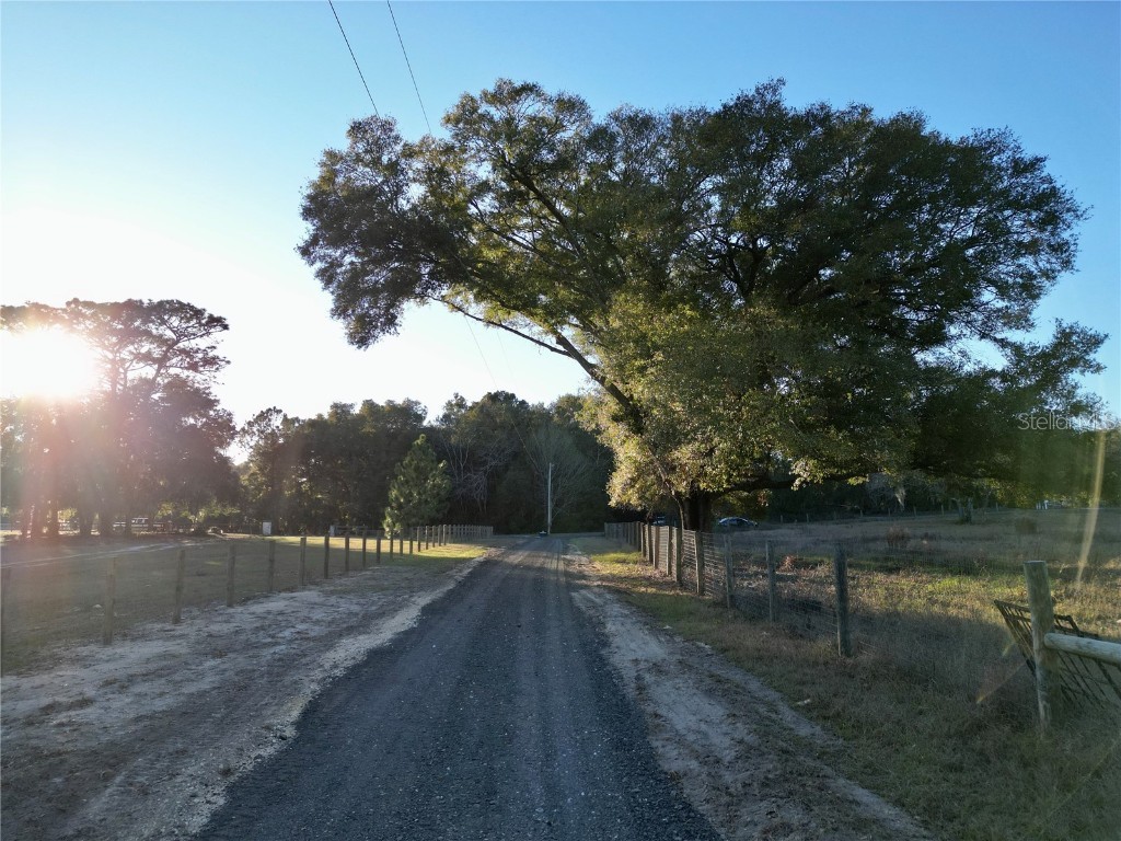 TBD SW 110th Avenue Dunnellon FL 34432 OM692236 image19