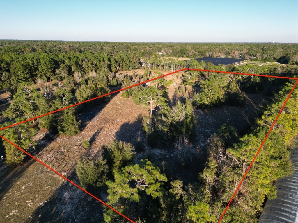 TBD SW 110th Avenue Dunnellon FL 34432 OM692236 image6