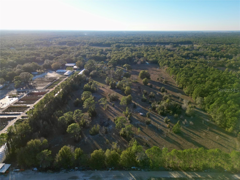 TBD SW 110th Avenue Dunnellon FL 34432 OM692236 image7