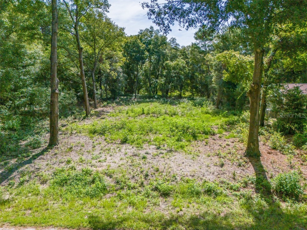 TBD SW 110th Court Dunnellon FL 34432 OM683001 image1