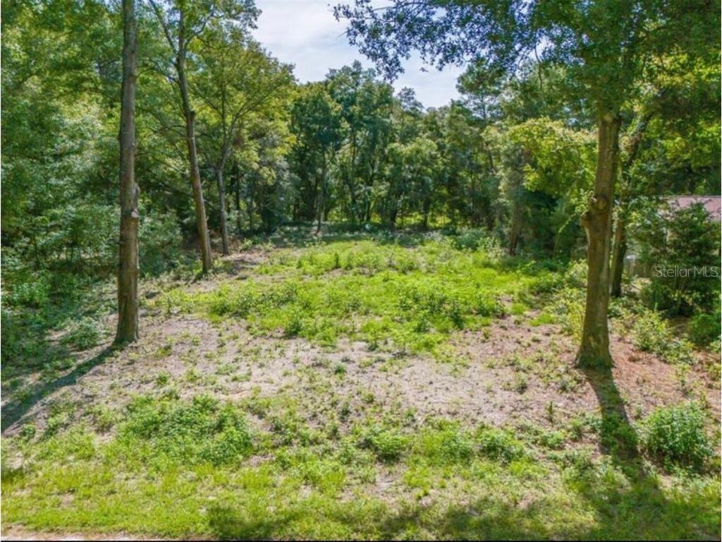TBD SW 110th Court Dunnellon FL 34432 S5115443 image1