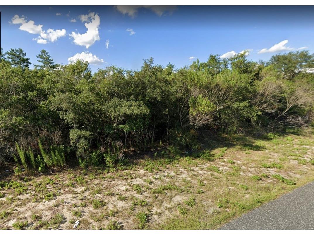 TBD SW 110th Lane Ocala FL 34476 OM659358 image1