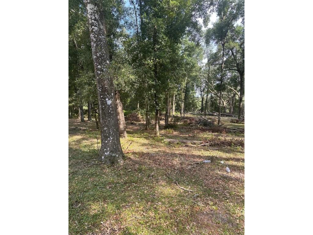 TBD SW 111th Lane Dunnellon FL 34432 O6313706 image14