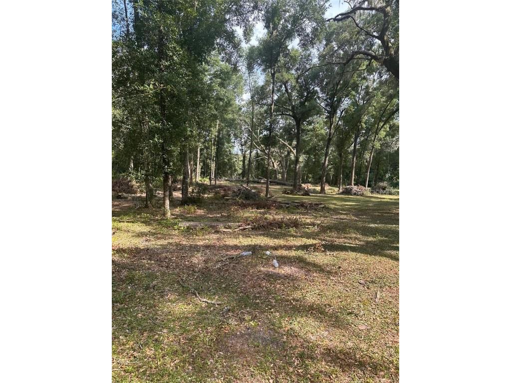 TBD SW 111th Lane Dunnellon FL 34432 O6313706 image2