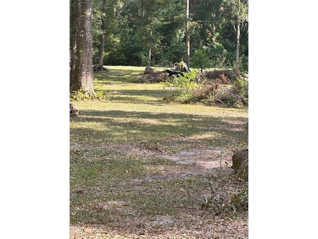 TBD SW 111th Lane Dunnellon FL 34432 O6313706 image5