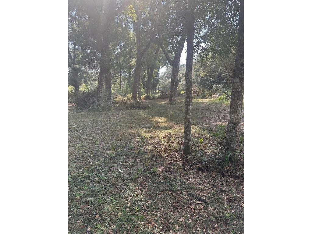 TBD SW 111th Lane Dunnellon FL 34432 O6313706 image6