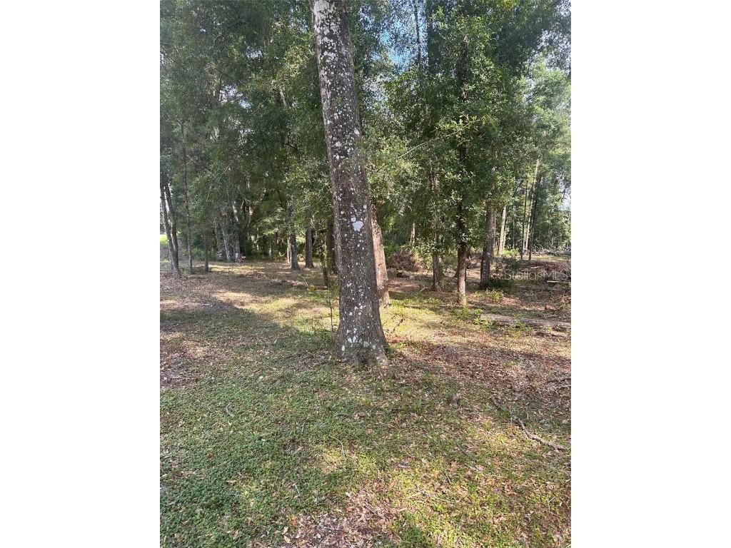 TBD SW 111th Lane Dunnellon FL 34432 O6313706 image7
