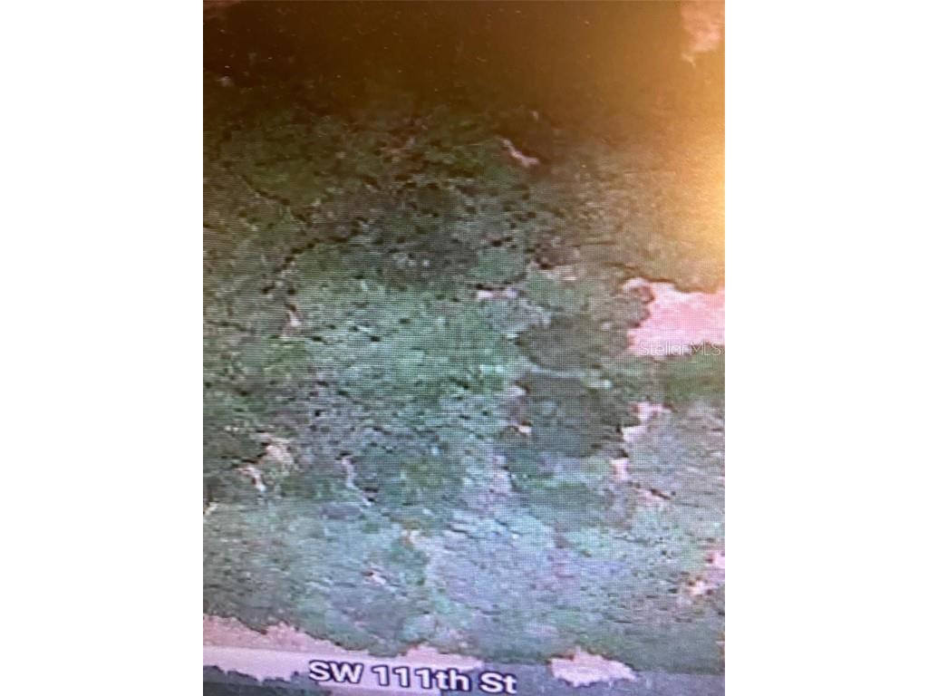 TBD SW 111th Lane Dunnellon FL 34432 O6313706 image8