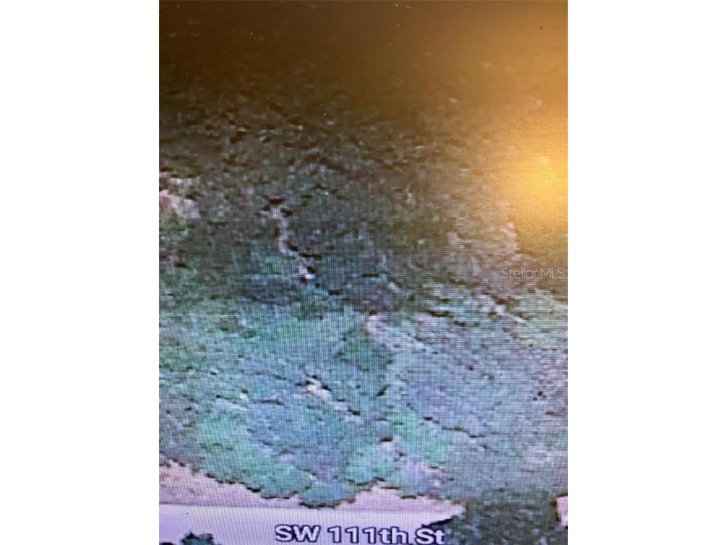 TBD SW 111th Lane Dunnellon FL 34432 O6313706 image9