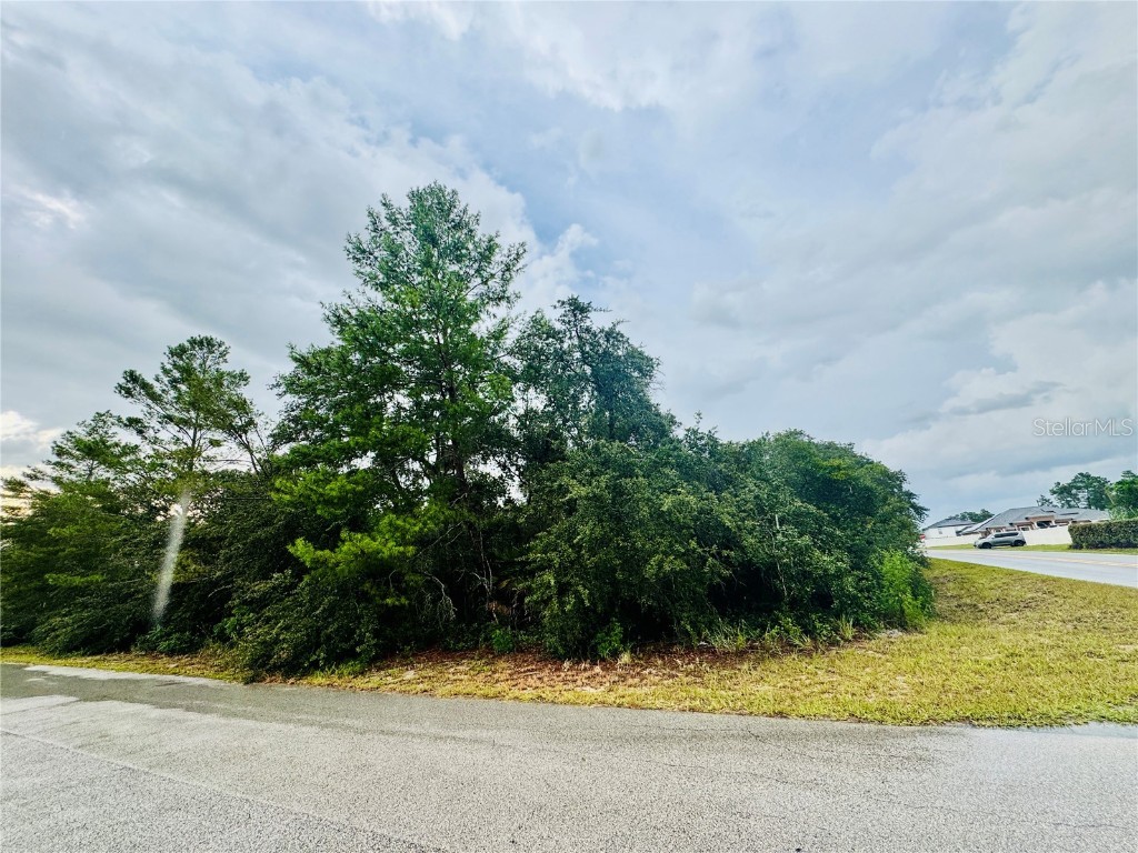 TBD SW 111th Pl Ocala FL 34476 OM707471 image2