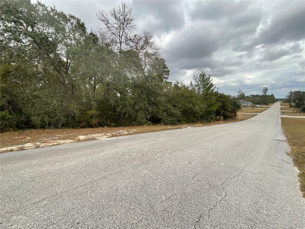 TBD SW 111th Place Ocala FL 34476 OM714414 image3
