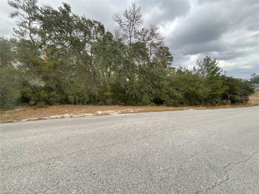 TBD SW 111th Place Ocala FL 34476 OM714414 image5