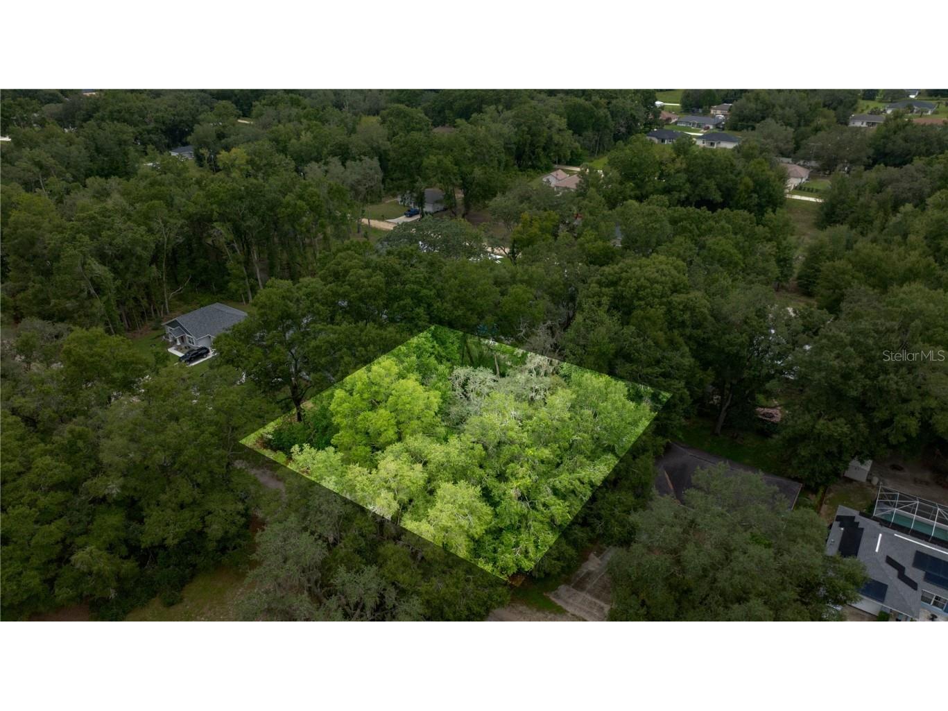 TBD SW 115th Place Dunnellon FL 34432 OM709173 image1