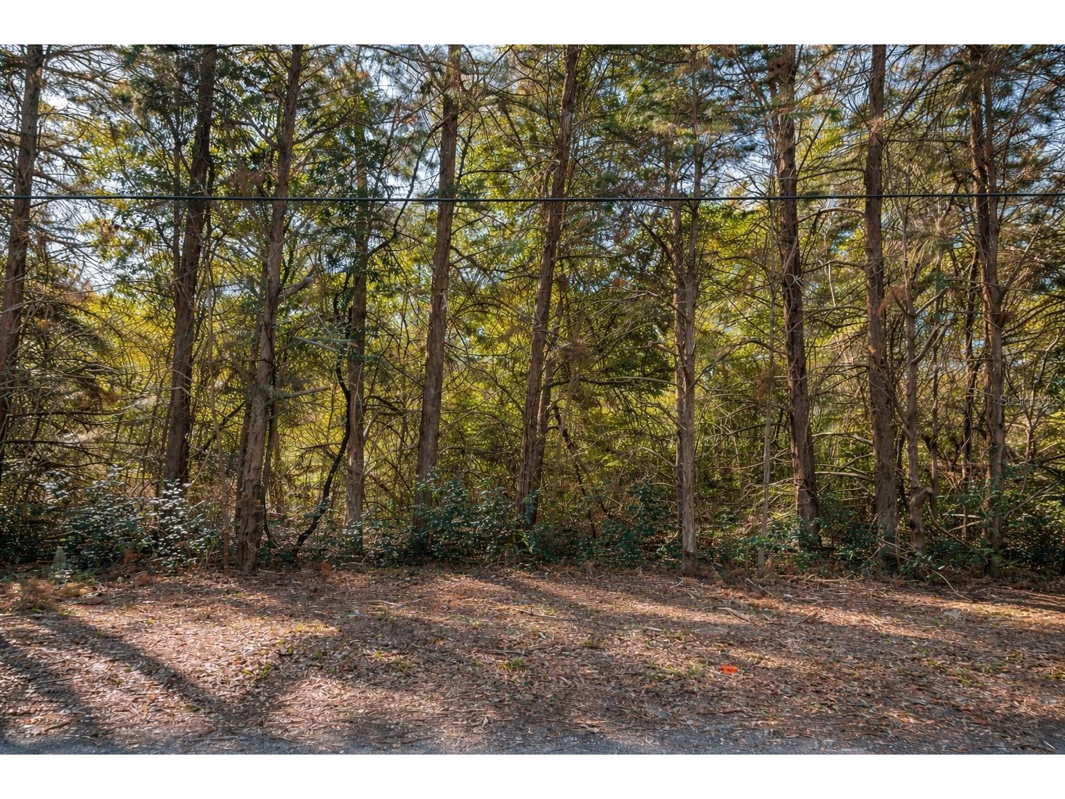TBD SW 121 Avenue Archer FL 32618 GC537350 image1