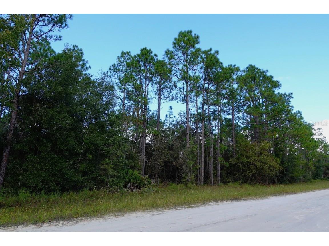 TBD SW 121 Terrace Ocala FL 34481 OM666685 image1