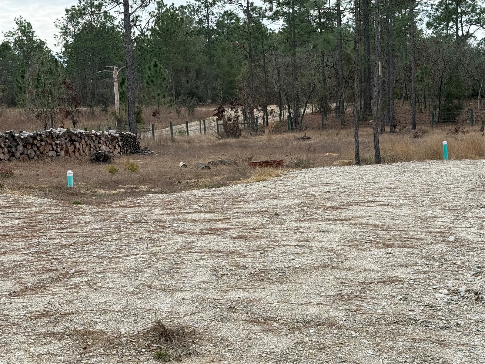 TBD SW 121st Terrace Dunnellon FL 34432 OM715989 image10