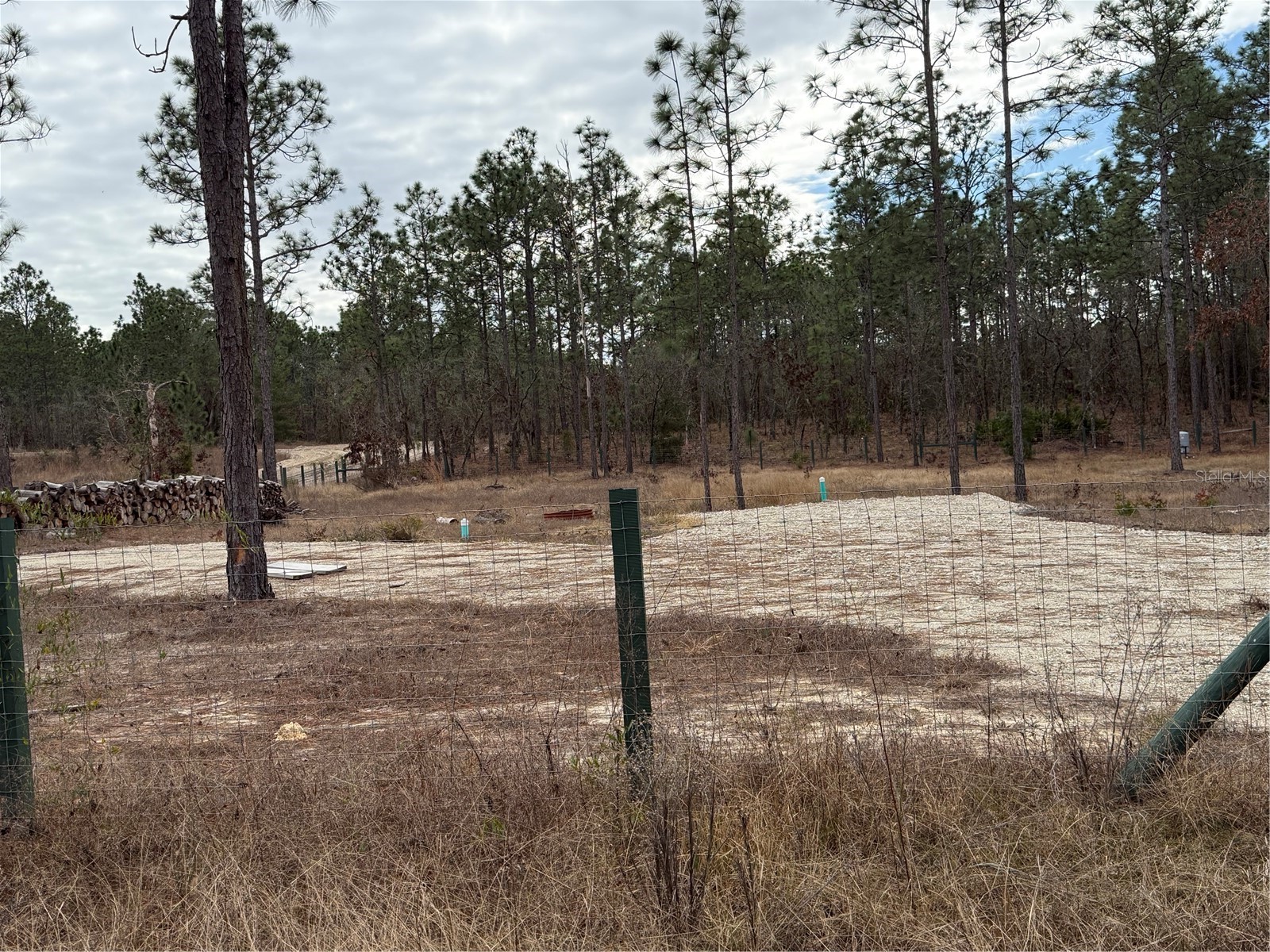 TBD SW 121st Terrace Dunnellon FL 34432 OM715989 image11
