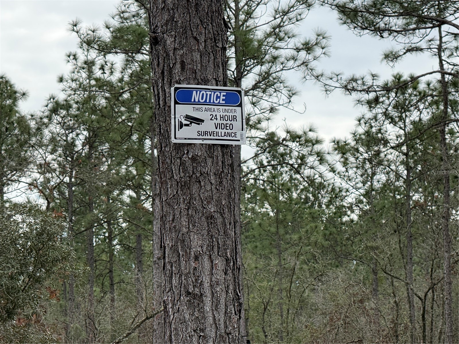 TBD SW 121st Terrace Dunnellon FL 34432 OM715989 image12