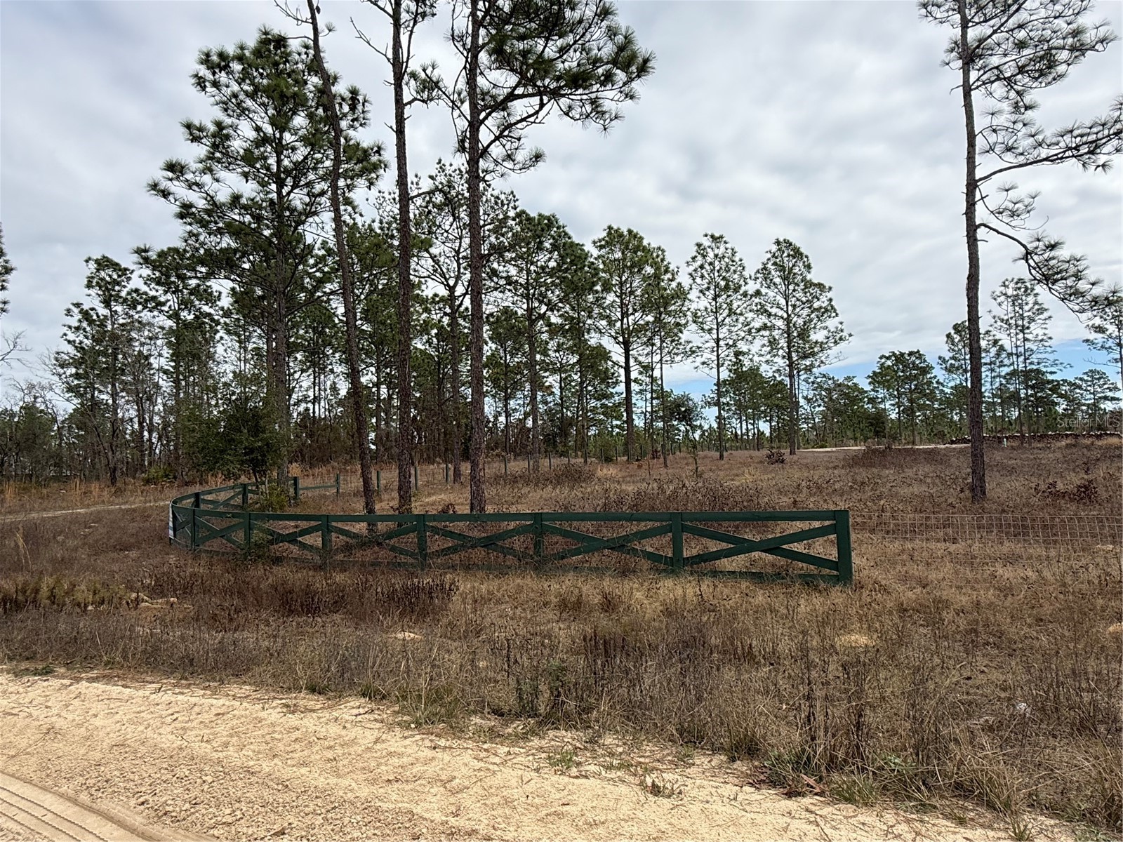 TBD SW 121st Terrace Dunnellon FL 34432 OM715989 image13