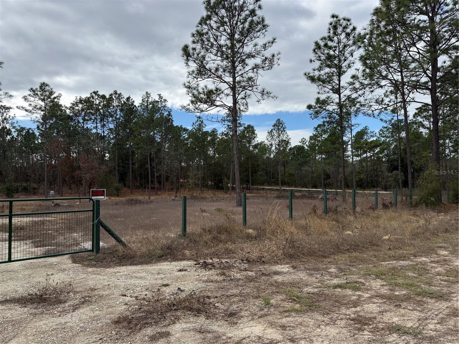 TBD SW 121st Terrace Dunnellon FL 34432 OM715989 image14