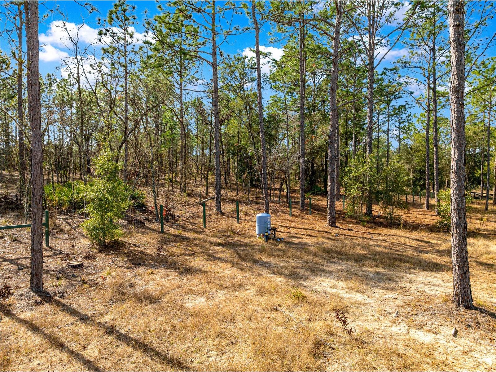TBD SW 121st Terrace Dunnellon FL 34432 OM715989 image3