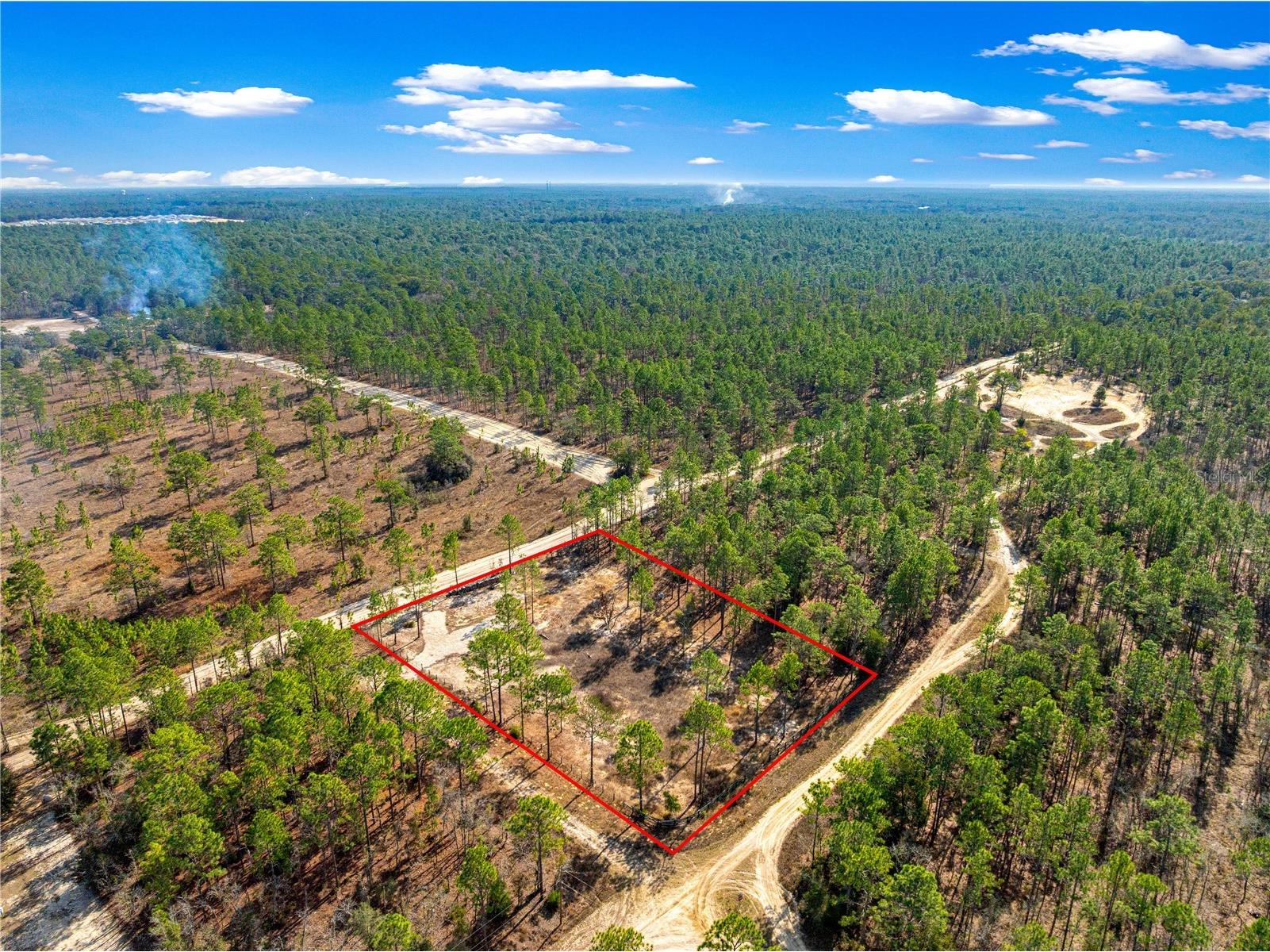 TBD SW 121st Terrace Dunnellon FL 34432 OM715989 image4