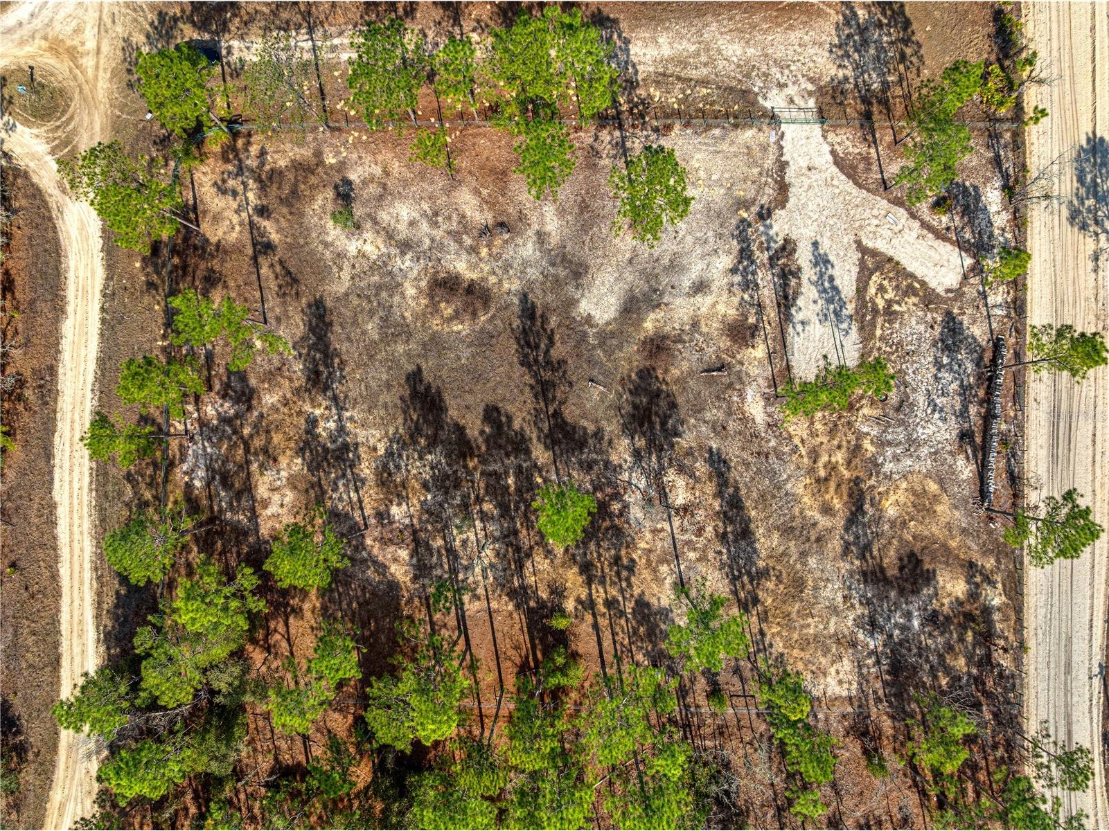 TBD SW 121st Terrace Dunnellon FL 34432 OM715989 image5