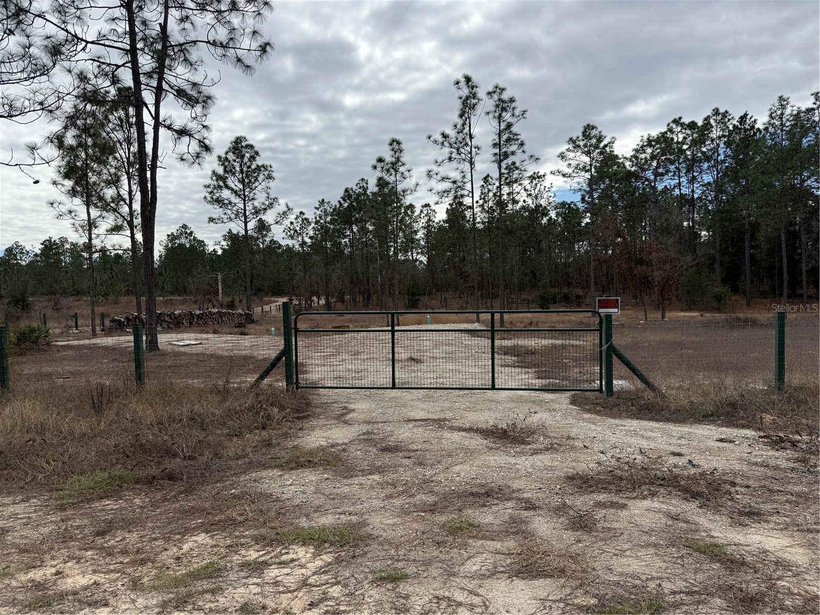 TBD SW 121st Terrace Dunnellon FL 34432 OM715989 image7