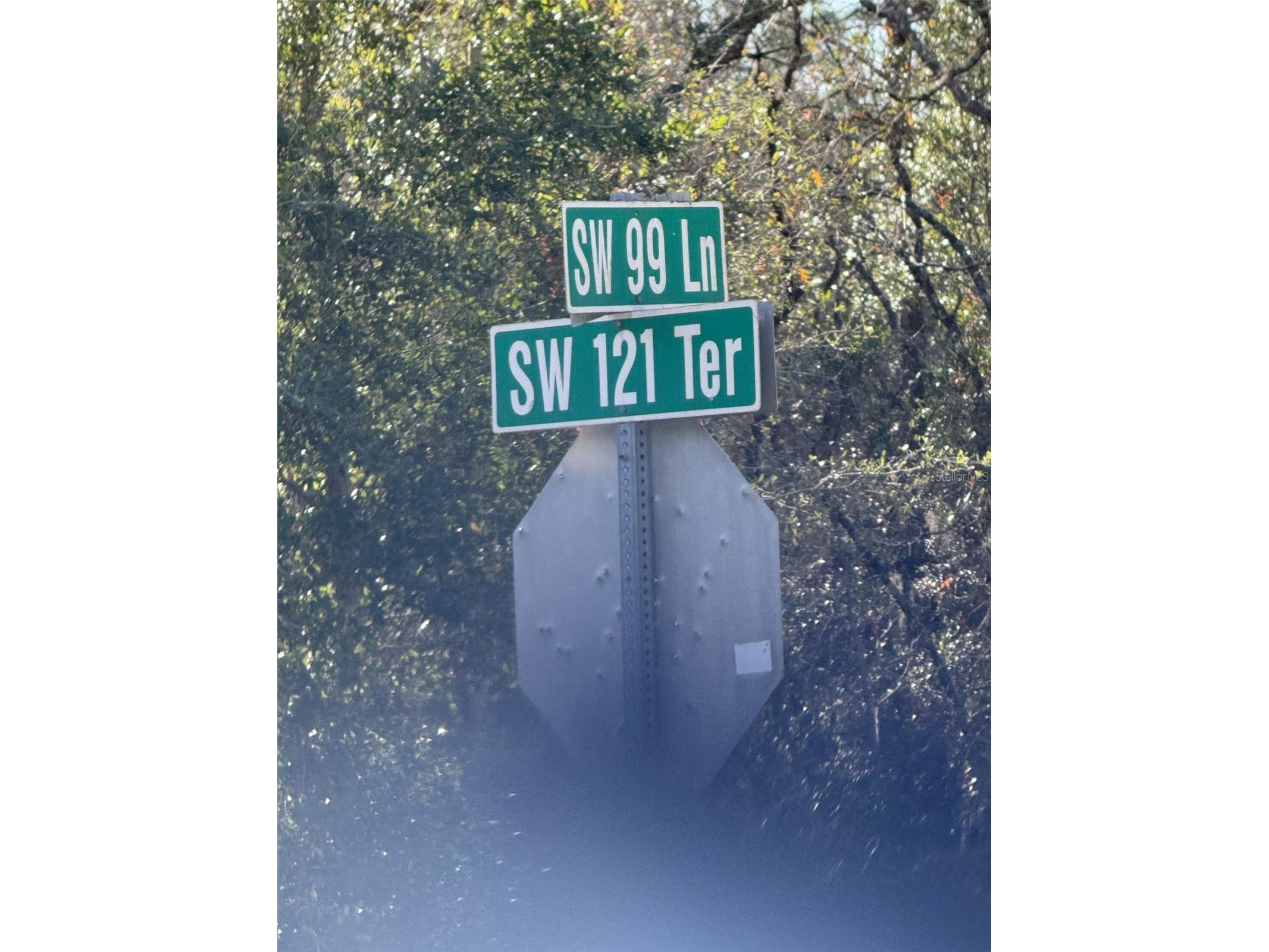 TBD SW 121st Terrace Dunnellon FL 34432 OM715989 image8