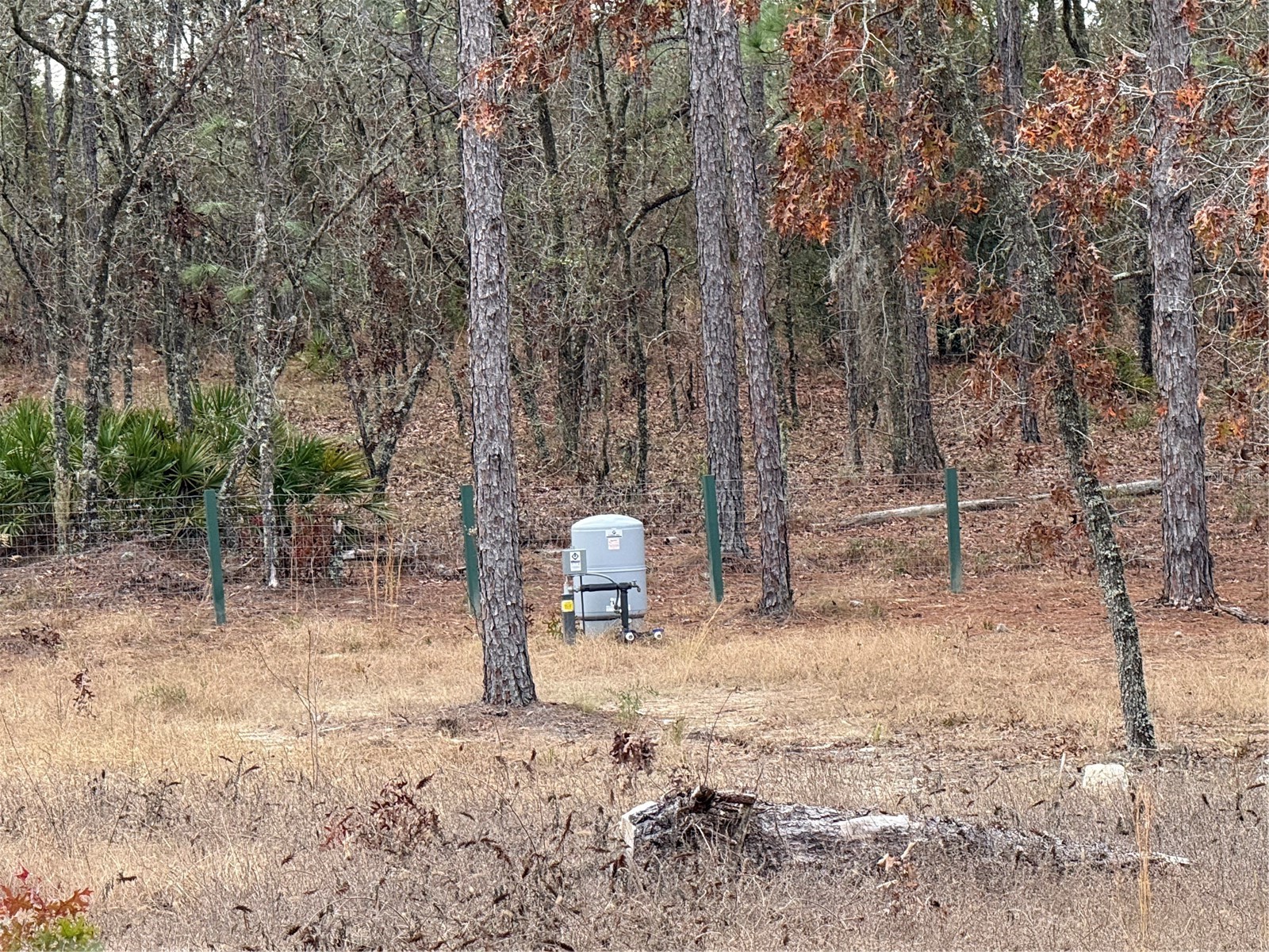 TBD SW 121st Terrace Dunnellon FL 34432 OM715989 image9