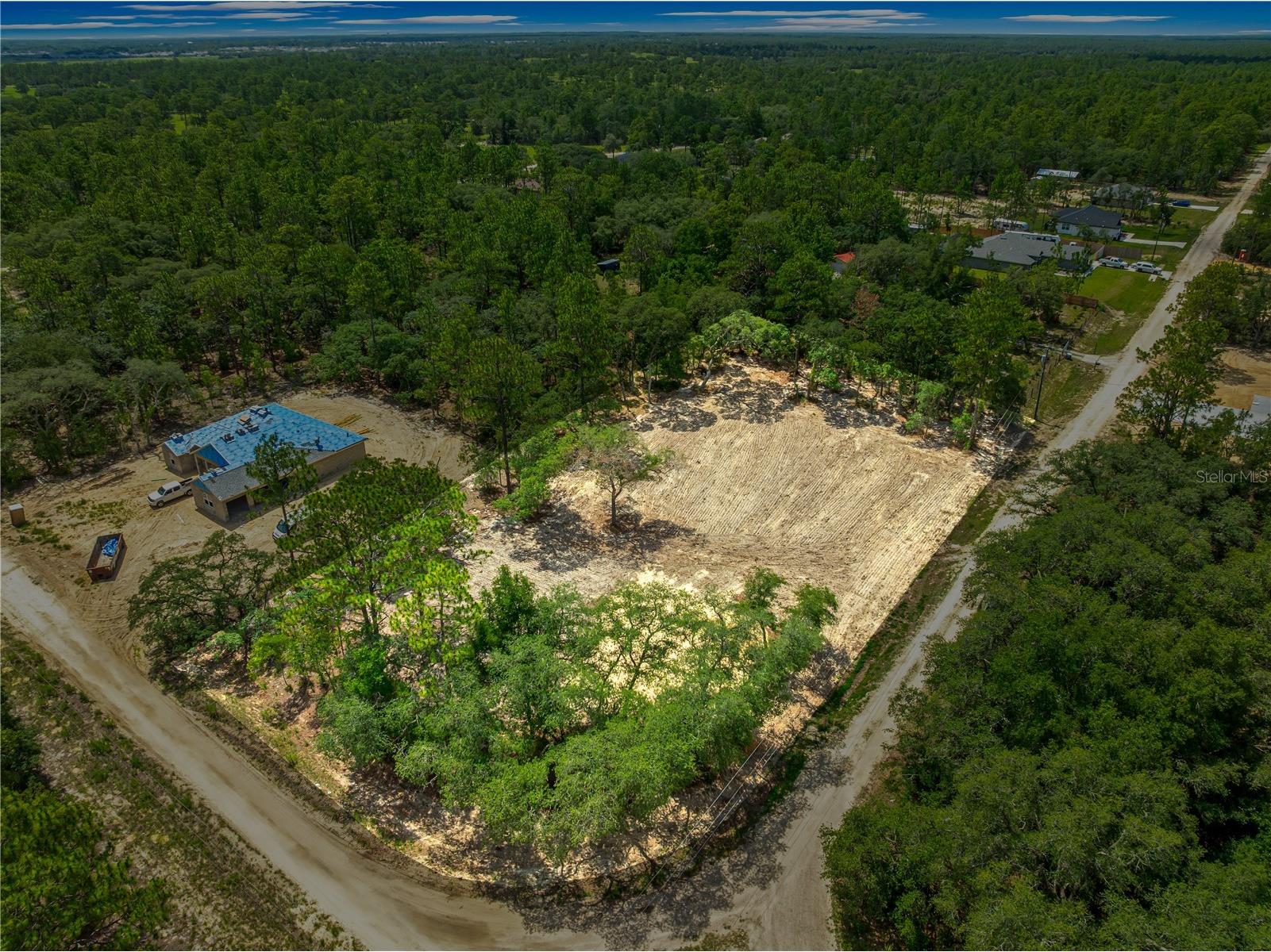 TBD SW 122 Avenue Dunnellon FL 34432 O6419892 image4
