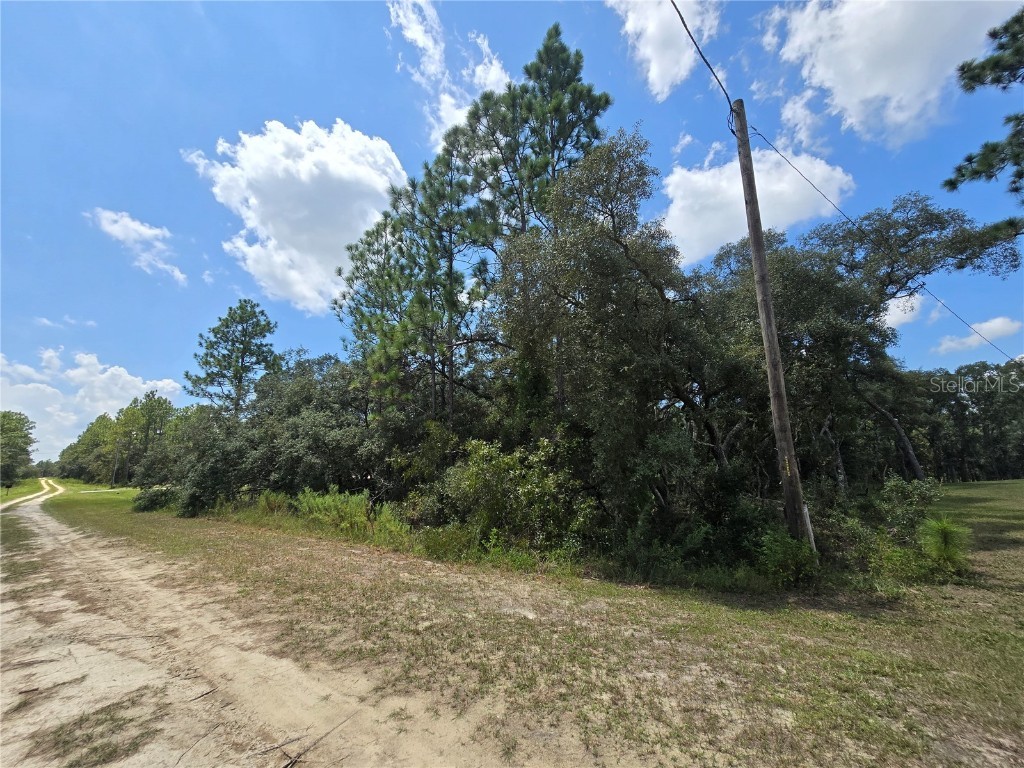 TBD SW 122nd Avenue FL 34432 OM684452 image1
