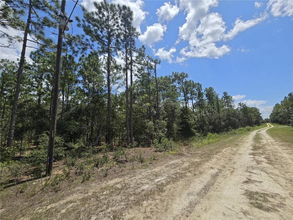 TBD SW 122nd Avenue Lot 9 Dunnellon FL 34432 OM684459 image1