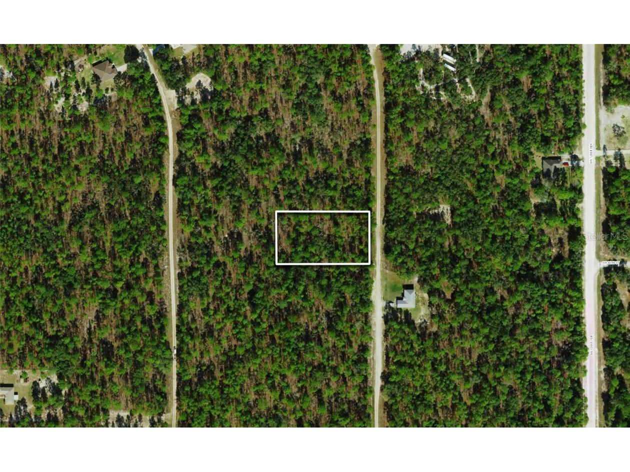 TBD SW 123rd Ave Road Ocala FL 34481 OM650674 image1