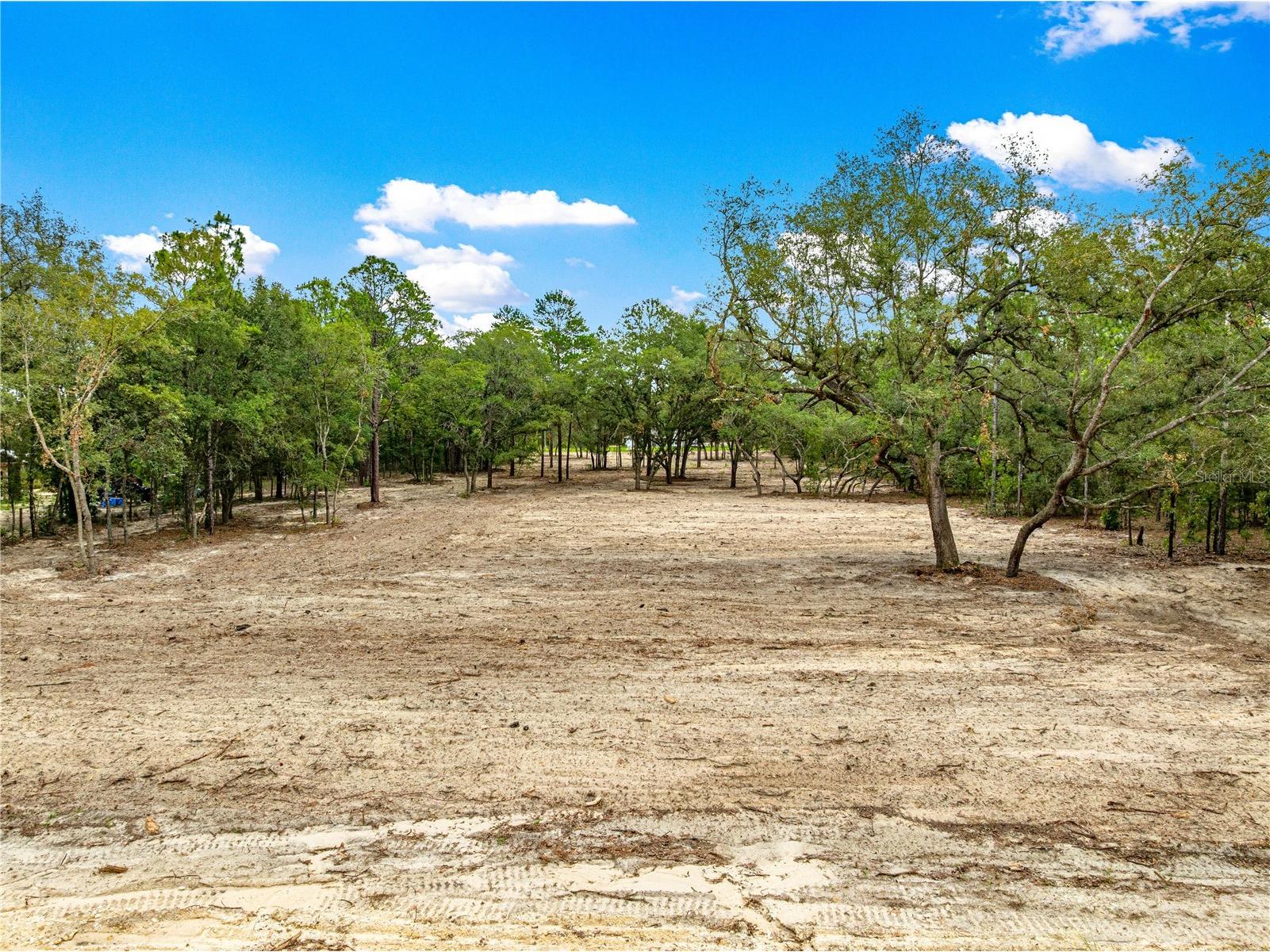 TBD SW 125 Terrace Dunnellon FL 34432 O6419725 image5