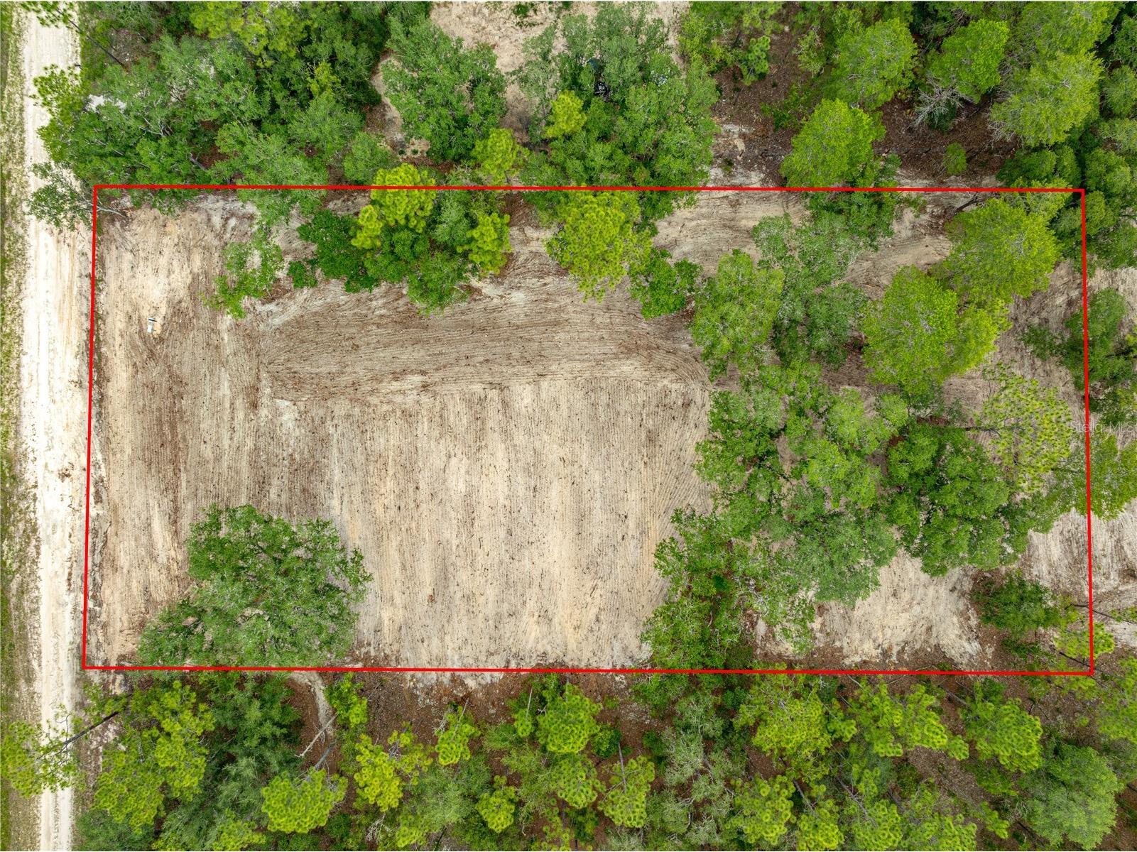 TBD SW 125 Terrace Dunnellon FL 34432 O6419725 image6