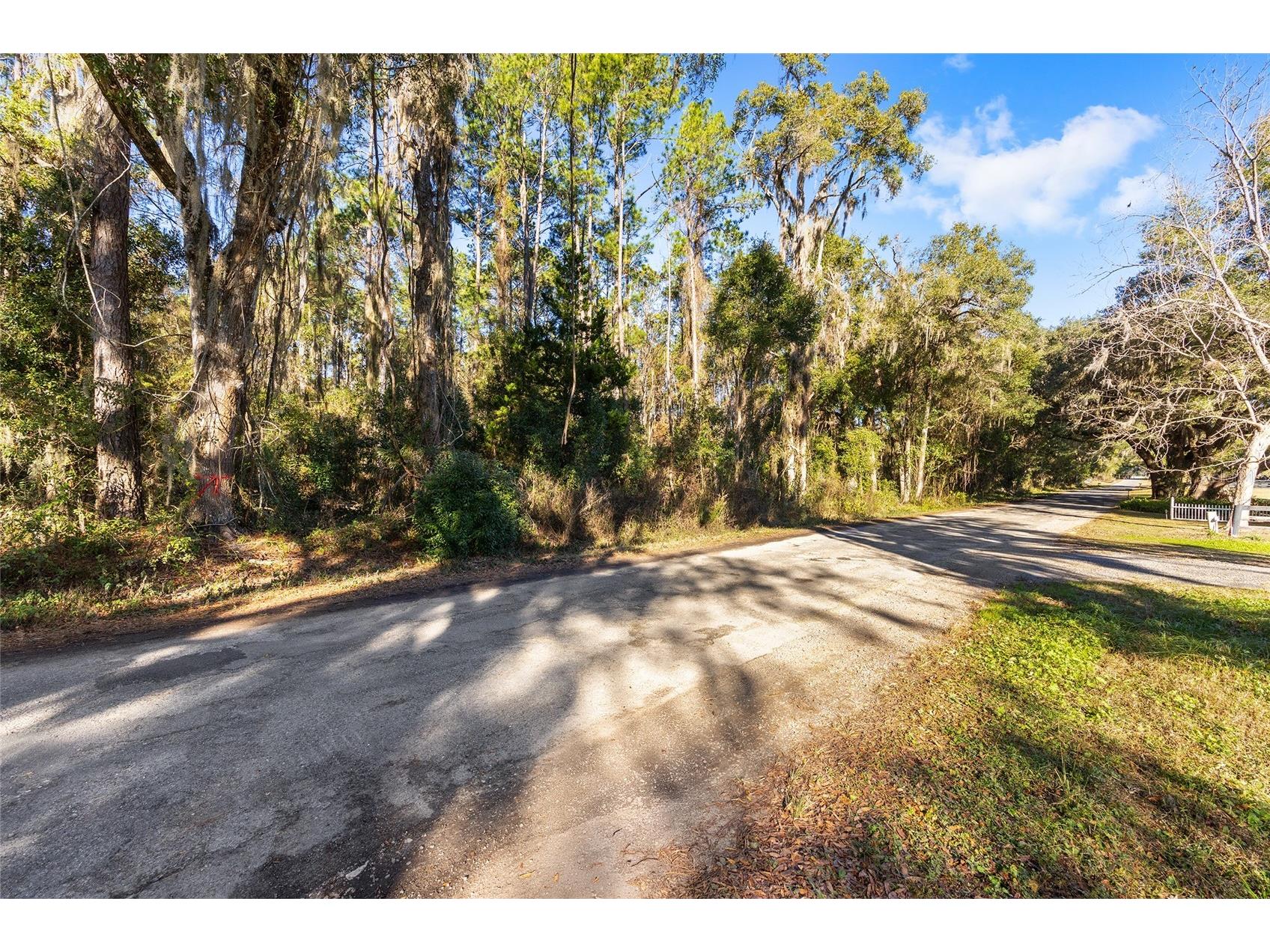 TBD SW 125th Avenue Ocala FL 34481 OM716736 image3