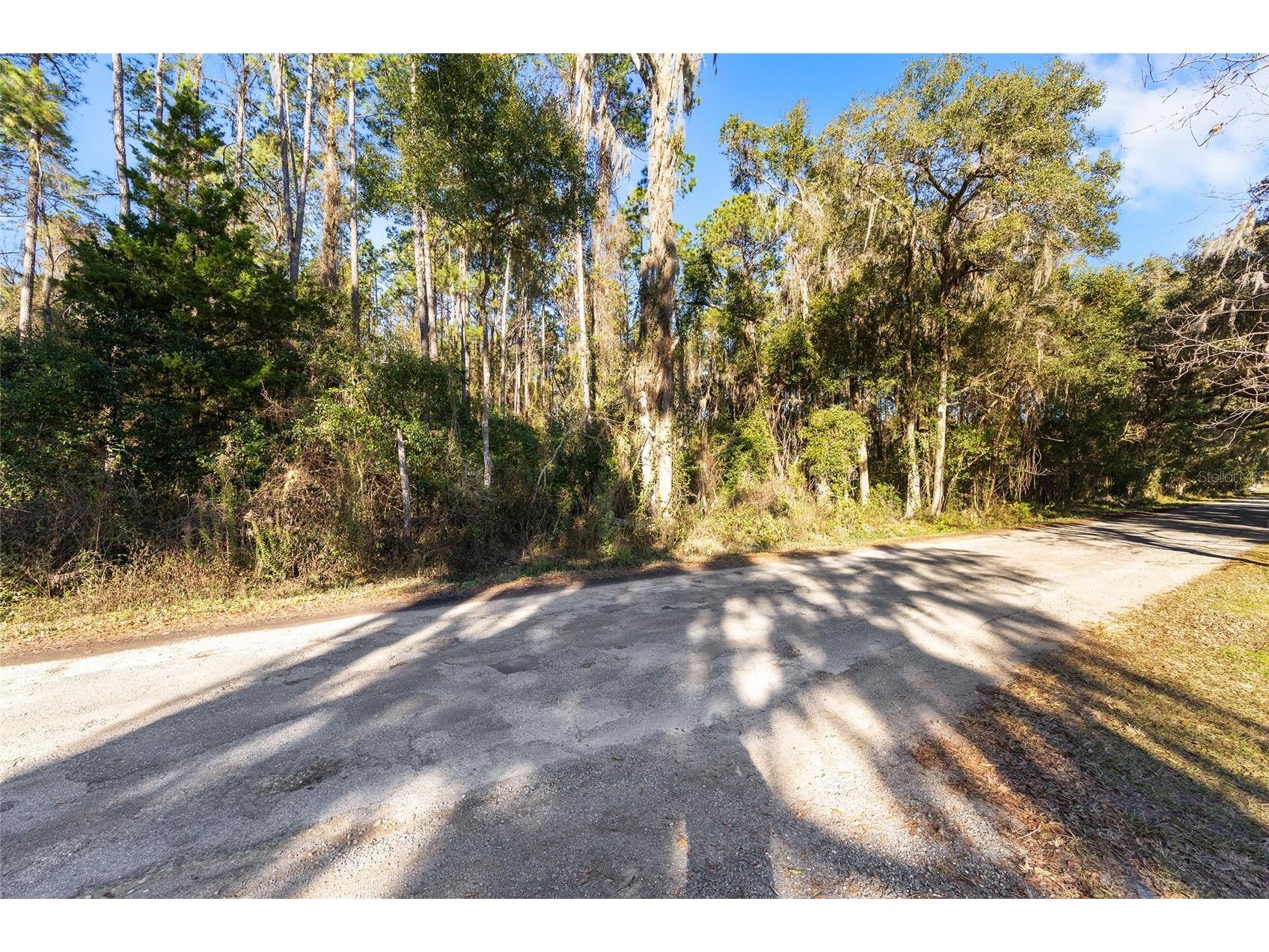 TBD SW 125th Avenue Ocala FL 34481 OM716736 image4