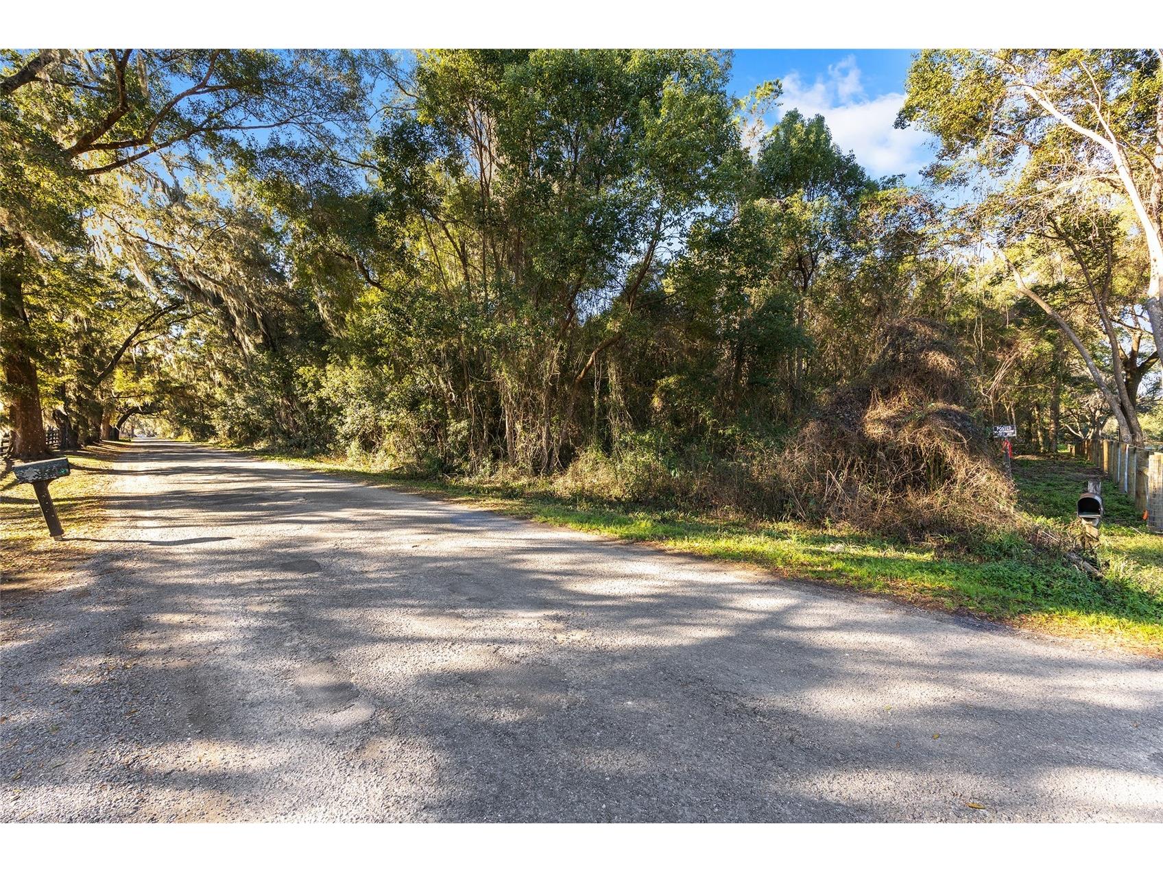 TBD SW 125th Avenue Ocala FL 34481 OM716736 image5