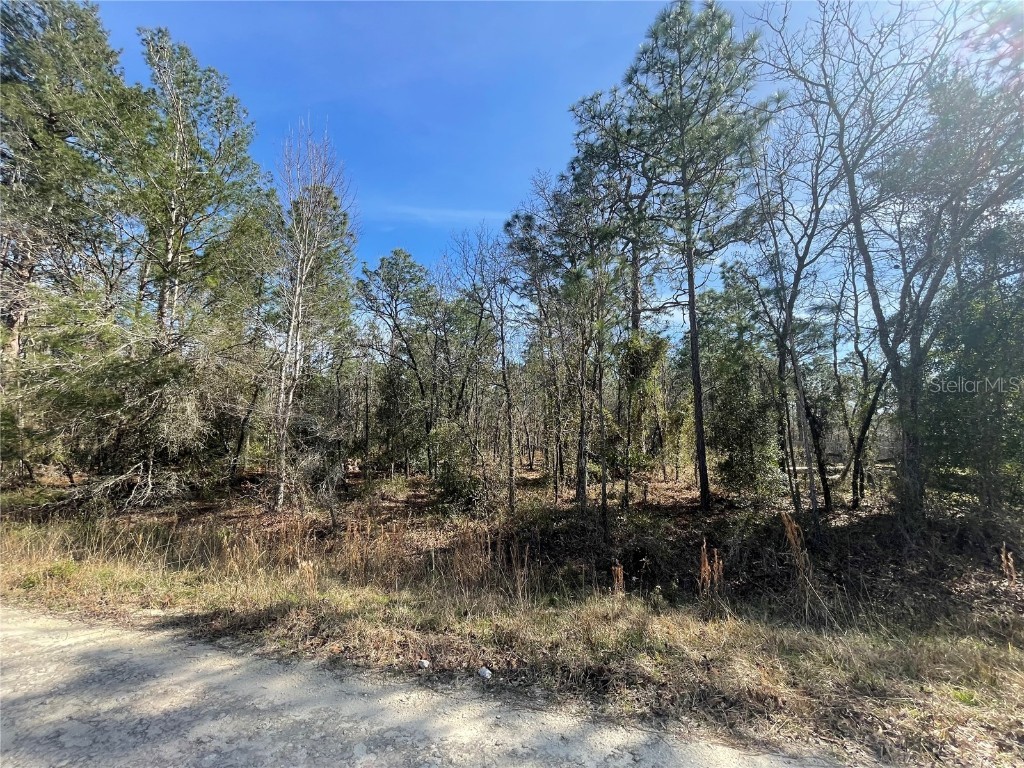 TBD SW 125th Court Road #LOT 12 Dunnellon FL 34432 OM672603 image1