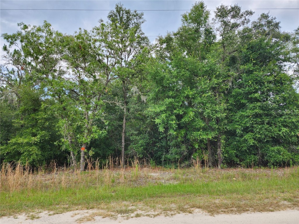 TBD SW 125th Terrace Dunnellon FL 34432 OM679731 image1