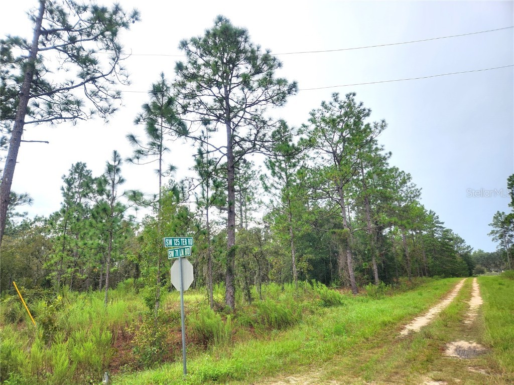 TBD Sw 125th Terrace Road Ocala FL 34481 OM664226 image1