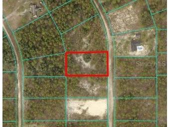 TBD SW 127th Ave Road Ocala FL 34481 OM724308 image1