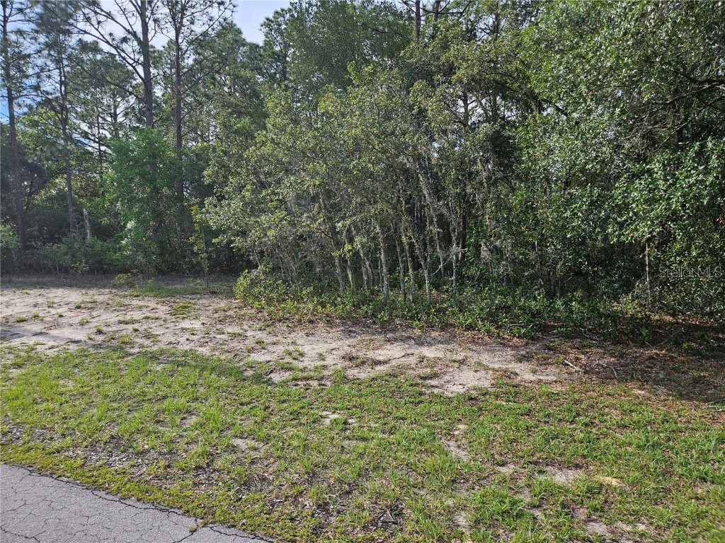 TBD SW 128 Loop Ocala FL 34473 OM658372 image1