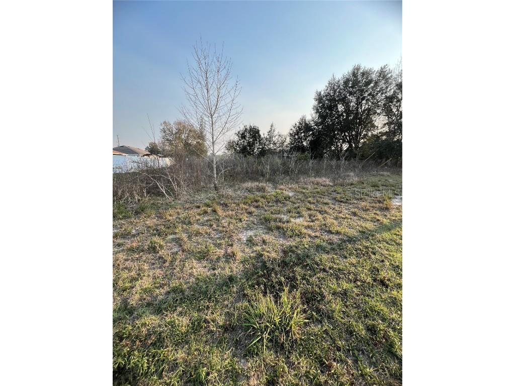 TBD SW 128th Place Ocala FL 34473 OM672955 image1