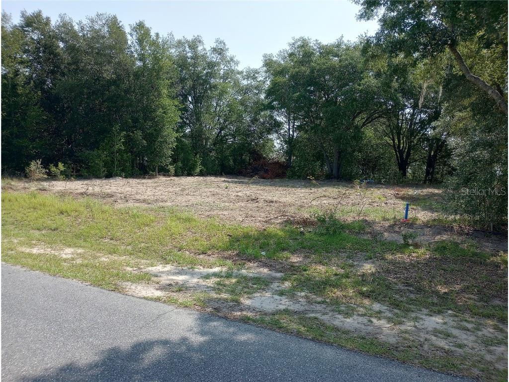 TBD SW 128th Place Ocala FL 34473 OM698497 image1