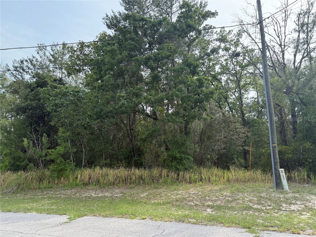TBD Sw 128th Place Ocala FL 34473 OM701105 image2