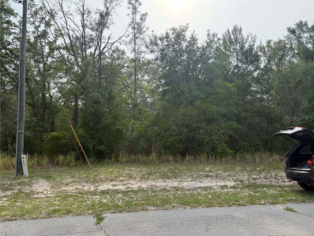 TBD Sw 128th Place Ocala FL 34473 OM701105 image4